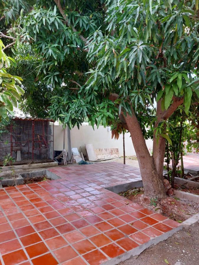 Curasita Colour Appartments & Resort - Adres Kaya Sucre Nst 282 Willemstad Exterior photo