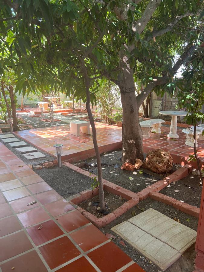 Curasita Colour Appartments & Resort - Adres Kaya Sucre Nst 282 Willemstad Exterior photo